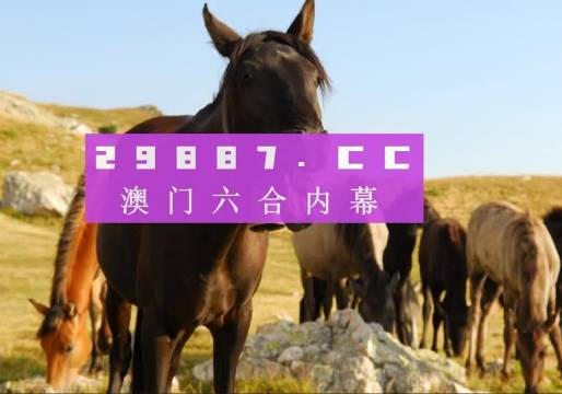 澳门与香港管家婆一肖一码一中一,词语释义解释落实|丰富释义